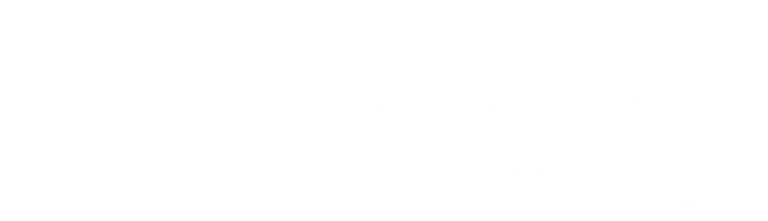 Version blanche du logo de Singulière Architecte